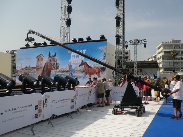 Concours chevaux arabes